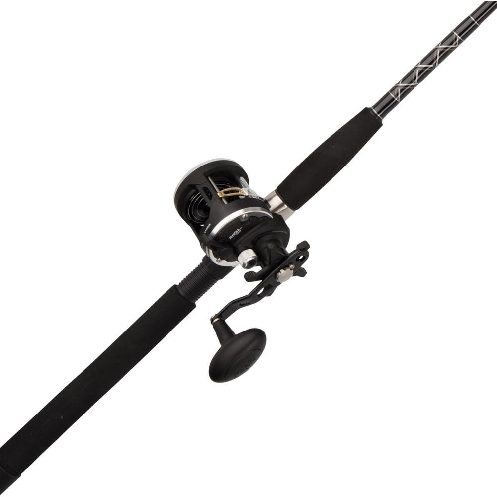 imagePenn Rival II Level Wind Conventional Reel and Fishing Rod ComboOld Model