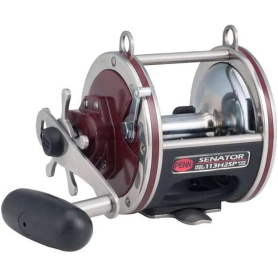 imagePenn Special Senator Star Drag Conventional Fishing Reel113h2sp