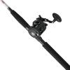 Penn Rival II Level Wind Conventional Reel and Fishing Rod Combo(New Model)