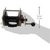 Penn Special Senator Star Drag Conventional Fishing Reel(113h2lw)
