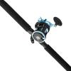 Penn Warfare II Level Wind Conventional Reel and Fishing Rod Combo(New Model)
