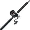 Penn Warfare II Star Drag Conventional Reel and Fishing Rod Combo(Old Model)