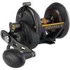 PENN Fathom II Star Drag Conventional Fishing Reel, Black Gold, 25N(Fthii30sd)