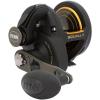 PENN Squall II Lever Drag Fishing Reel, Size 25, Graphite Body and Sideplates, Stainless Steel Main and Pinion Gears, Powerful PENN Dura-Drag
