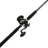 Penn Rival II Level Wind Conventional Reel and Fishing Rod Combo(Old Model)