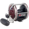 Penn Special Senator Star Drag Conventional Fishing Reel(114h2)