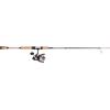 PENN Passion II Spinning Reel and Fishing Rod Combo(Passion II)